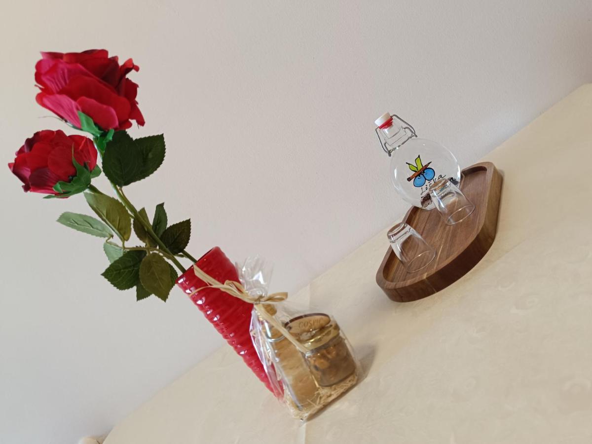 Apartman Ante Gospic Luaran gambar